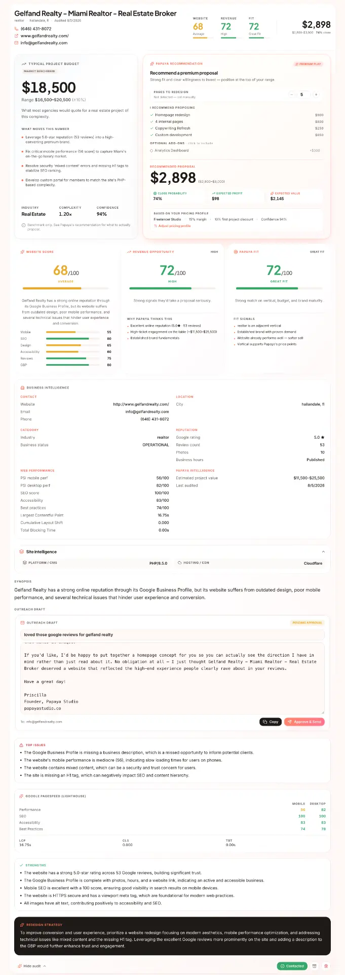 Papaya Pro detailed website audit showing project budget, recommendation, scores, business intelligence, and outreach draft